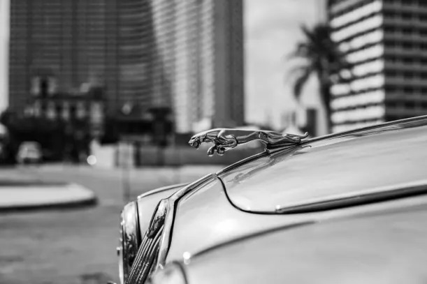 20Bets Kasino Apl Android/iOS